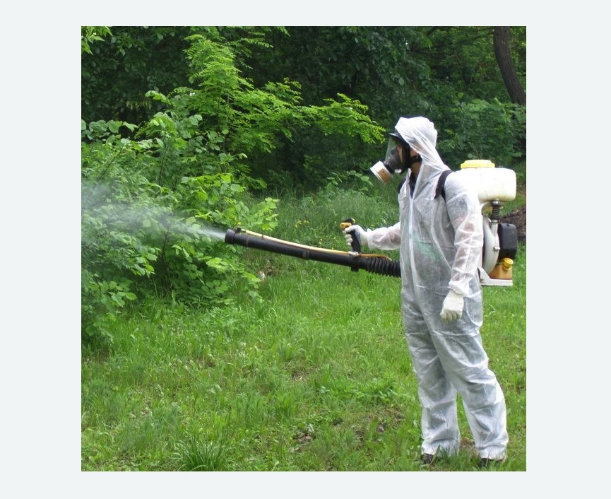 обработка территории от клещей в Алачково