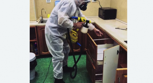 Уничтожение насекомых в квартире. Алачково