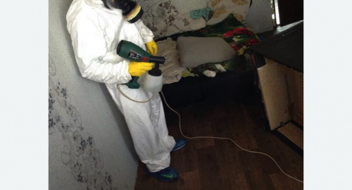 Обработка квартир от насекомых в Алачково