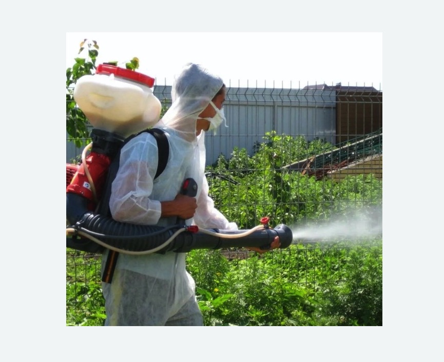 Акарицидная обработка территории в Алачково