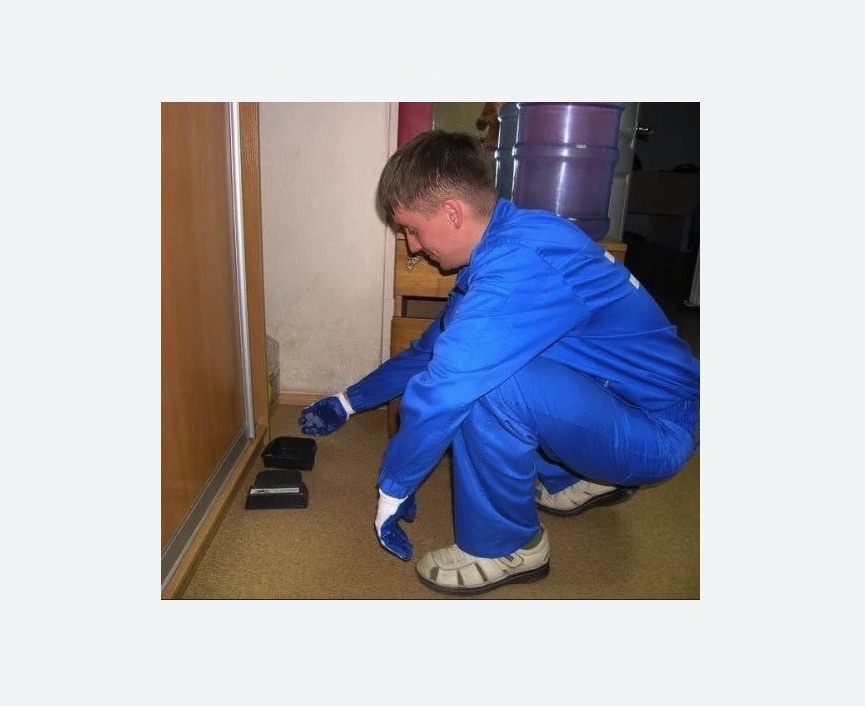 Дератизация крыс в Алачково