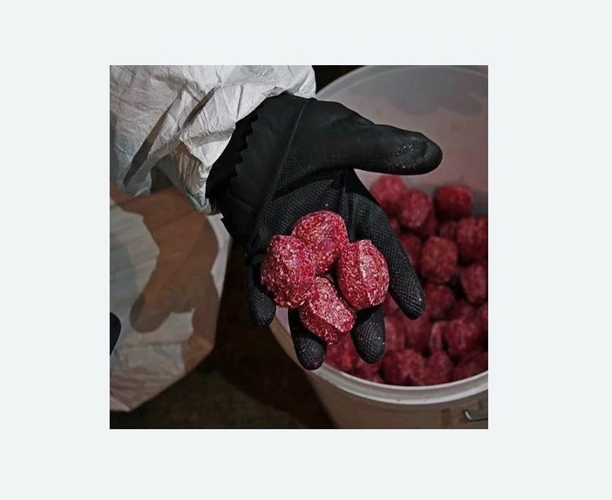 Обработка от крыс в Алачково