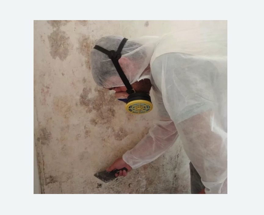 Обработка стен от плесени в Алачково