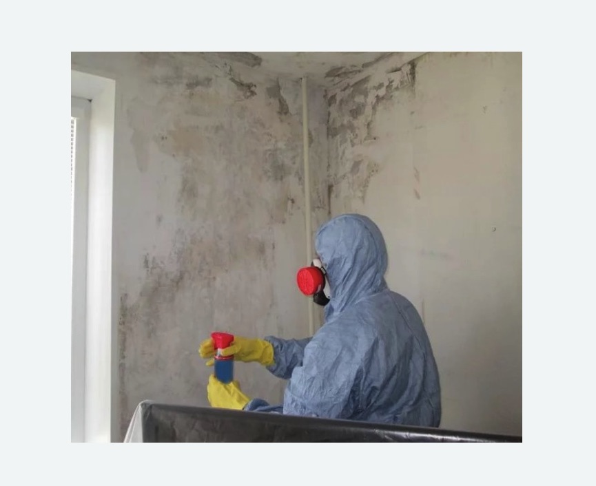 Удаление плесени в квартире в Алачково