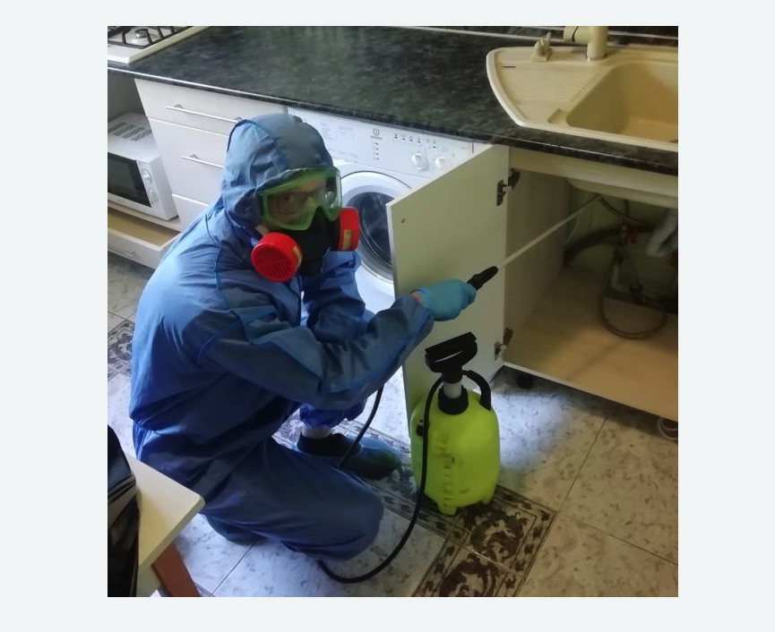 обработка от муравьев в квартире в Алачково