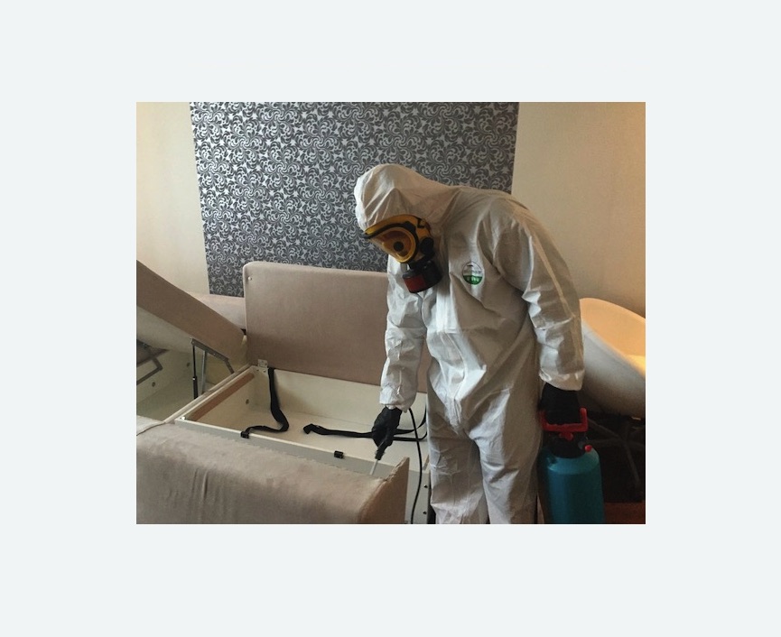 уничтожение клопов в квартире в Алачково