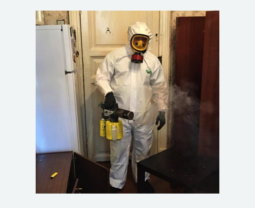 уничтожение муравьев в квартире в Алачково